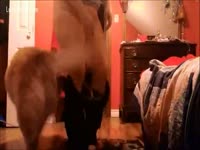 Marley fucks his doxy